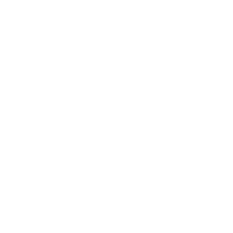 costanzo-favicon white